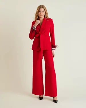 Alternative view of Σακάκι με φτερά στα μανίκια