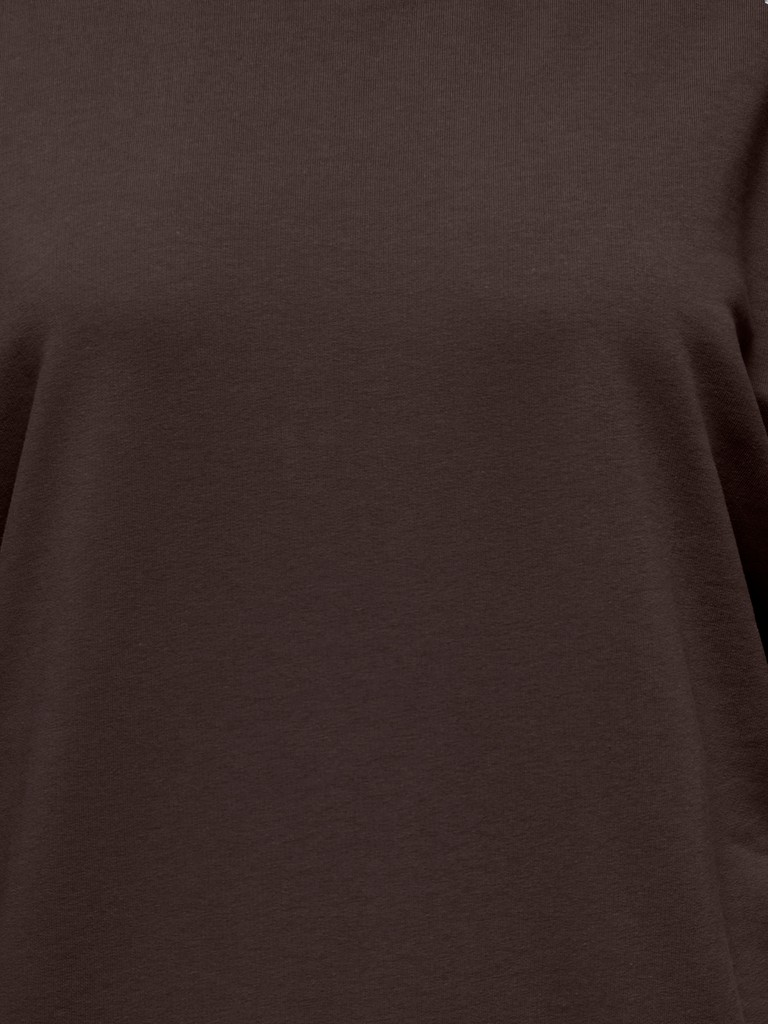 CARVIOLETTA L/S O NECK SWEAT JRS