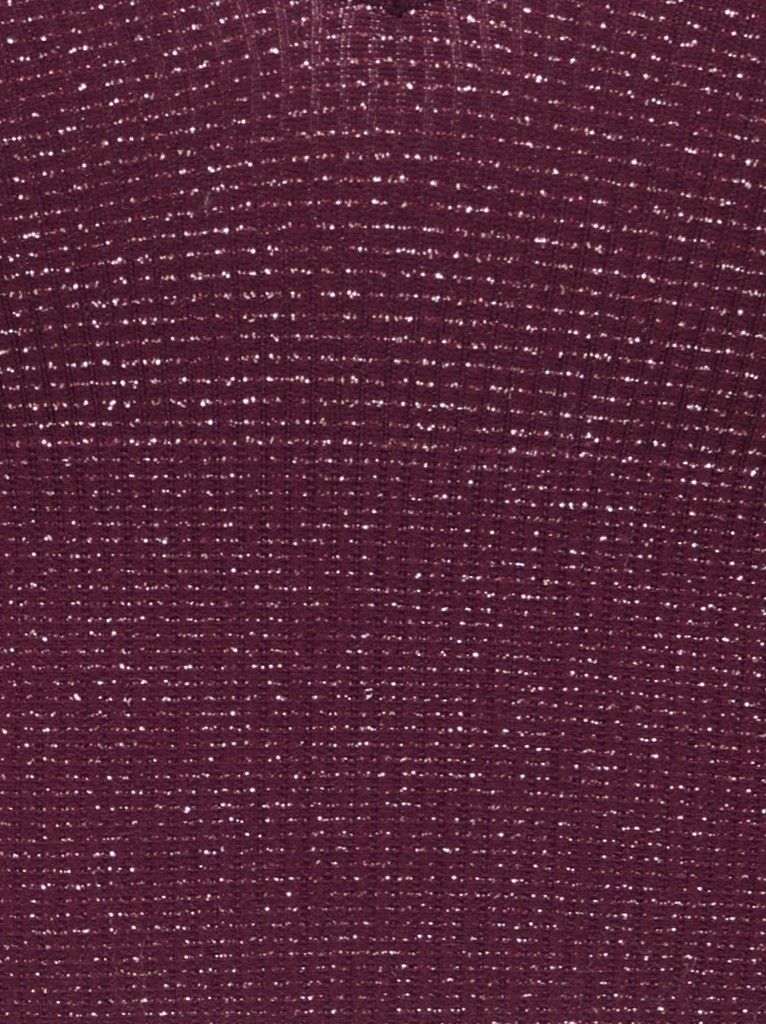 ONLVICKY GLITTER SEAMLESS V NECK TOP ACC